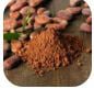 Cocoa Bean Extract