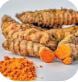 Turmeric Rhizome